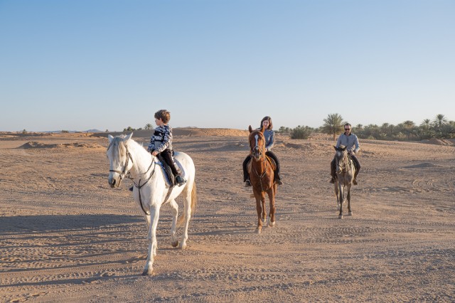 2 hours horse riding excursion